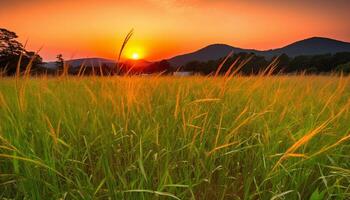 idyllisch tarwe veld- gloeit in levendig zonsondergang, berg silhouet backdrop gegenereerd door ai foto