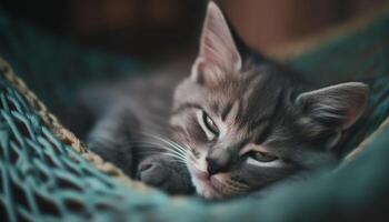 schattig katje slapen Aan een kussen, zachtheid en ontspanning gegenereerd door ai foto