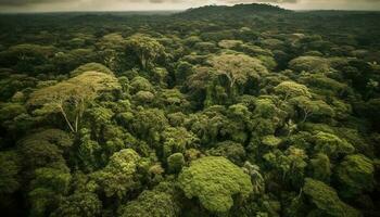 antenne visie van een tropisch regenwoud, een schoonheid in natuur gegenereerd door ai foto