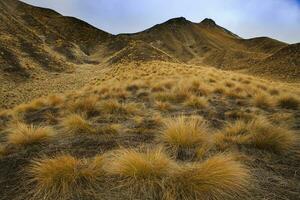 mooi landschap van lindis voorbij gaan aan Otago - kanterburry regio zuidland nieuw Zeeland foto