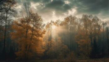 herfst Woud mist, oranje bladeren, mysterie, schoonheid gegenereerd door ai foto