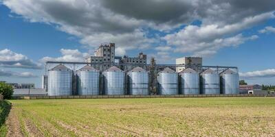 agro silo's Aan agro-industrieel complex en graan drogen en zaden schoonmaak lijn. foto