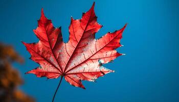 levendig herfst esdoorn- blad, symbool van verandering gegenereerd door ai foto