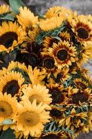 macrofotografie van gele zonnebloemen foto
