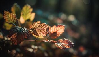 levendig herfst kleuren Aan dichtbij omhoog esdoorn- Afdeling gegenereerd door ai foto