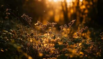 silhouet van wilde bloemen in oktober zonsondergang weide gegenereerd door ai foto