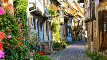 landschap van Elzas regio in Frankrijk foto