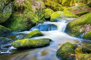 Woud natuur huelgoat in herfst foto