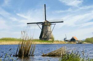 Nederland kleurrijk land van windmolens en tulpen bloemen foto