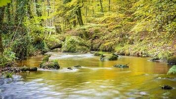 Woud natuur huelgoat in herfst foto