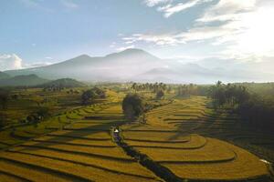 mooi ochtend- visie Indonesië panorama landschap rijstveld velden met schoonheid kleur en lucht natuurlijk licht foto