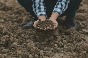 mannetje handen aanraken bodem Aan de veld. een boer cheques kwaliteit van bodem voordat zaaien. landbouw, tuinieren of ecologie concept. foto