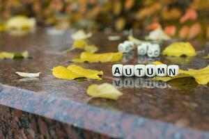 woord herfst is samengesteld van houten brieven. foto