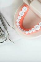 tanden en kaak model. detailopname foto