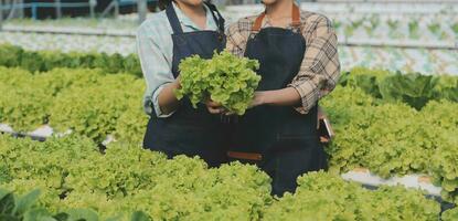 vrouw tuinman inspecteert kwaliteit van groen eik sla in kas tuinieren. vrouw Aziatisch tuinbouw boer cultiveren gezond voeding biologisch salade groenten in hydrocultuur agribusiness boerderij. foto