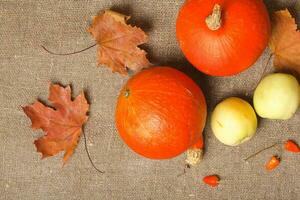 twee oranje pompoenen en groen appels foto