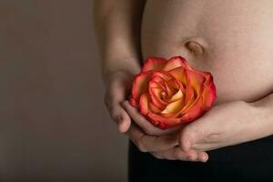 jong zwanger vrouw houdt natuurlijk roos bloesem dichtbij naar haar buik. foto