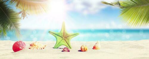 zeester en schelpen op het zonnige strand. zomervakantie achtergrond foto