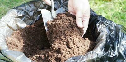 turf mos, kunstmest bodem voor biologisch landbouw, fabriek groeien, ecologie concept. foto