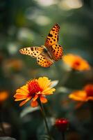 een vlinder Aan zonnebloem met wazig achtergrond. natuur voorraad beeld van een detailopname insect. ai gegenereerd foto