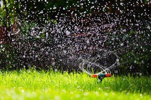 tuinsproeier drenken gras foto