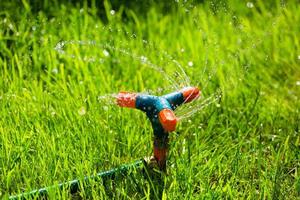 roterende tuinsproeier drenken gras foto