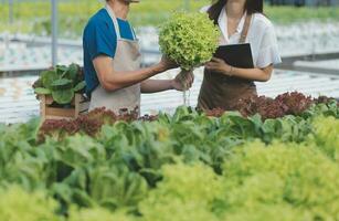 biologisch boerderij , arbeider testen en verzamelen milieu gegevens van bok choy biologisch groente Bij kas boerderij tuin. foto