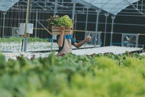 biologisch boerderij , arbeider testen en verzamelen milieu gegevens van bok choy biologisch groente Bij kas boerderij tuin. foto