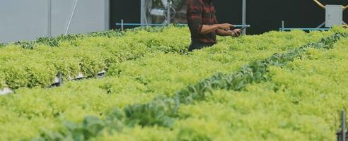 vrouw wetenschapper onderzoeken een planten in kas boerderij. wetenschappers Holding uitrusting voor Onderzoek fabriek in biologisch boerderij. kwaliteit controle voor hydrocultuur groente boerderij. foto