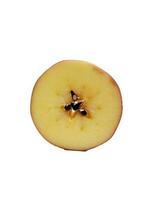 geoxideerd appel stukken Aan wit achtergrond. foto