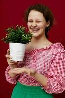 jong vrouw in roze blouse is poseren met een fabriek in wit pot foto