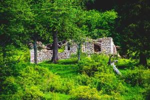 stenen ruïnes in het bos