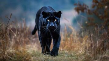 ai genereren foto. zwart fantast portret wandelen in de oerwoud. dieren in het wild fotografie foto