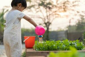 biologisch landbouw Bij huis, biologisch groente boerderij. kinderen gieter biologisch groenten . niet giftig groente toenemen van nature. kas tuin, ecologisch biologisch, gezond, vegetarisch, ecologie foto