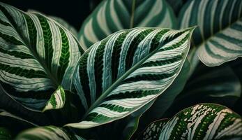 groen blad patroon tegen blauw tropisch achtergrond gegenereerd door ai foto