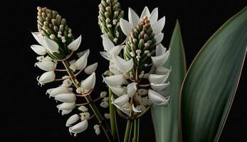 natuur elegantie in dichtbij omhoog bloem bloemblad en blad gegenereerd door ai foto