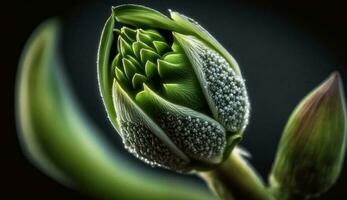natuur schoonheid gevangen genomen in een single tulp knop gegenereerd door ai foto