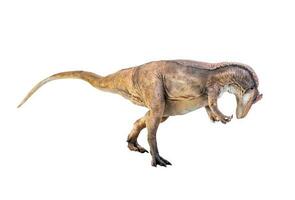 dinosaurus , allosaurus Aan geïsoleerd achtergrond foto