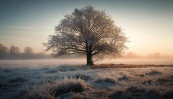 een rustig winter landschap mist, vorst, en een bevroren weide gegenereerd door ai foto