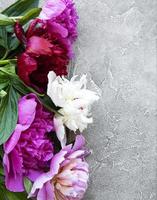 peony bloemen op een grijze betonnen achtergrond foto