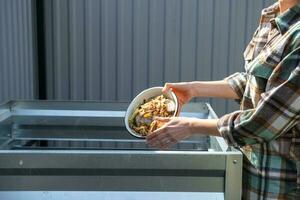 een vrouw in een plaid overhemd giet voedsel verspilling van een kom in een compost hoop van aardappel en wortel schillen. compost doos gemaakt van metaal, milieuvriendelijk kunstmest voor de tuin foto