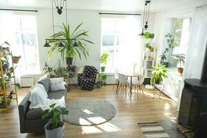 rekken met een groep van binnen- planten in de interieur kamer wit zolder, grijs bank, knus plaid, tapijt. kamerplant groeit en zorgzaam voor binnen- plant, groen huis foto