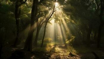 zonsopkomst verlicht mysterieus tropisch wildernis, spookachtig schaduwen rondhangen gegenereerd door ai foto