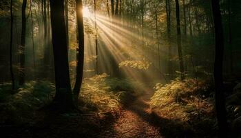 mysterieus Woud pad, verlichte door levendig zonlicht gegenereerd door ai foto