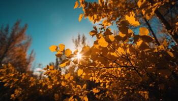 levendig herfst bladeren Aan esdoorn- boom silhouet gegenereerd door ai foto