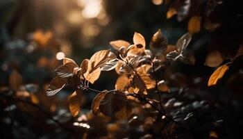 levendig herfst kleuren Aan dichtbij omhoog esdoorn- Afdeling gegenereerd door ai foto