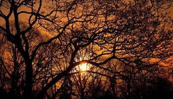 silhouet van boom terug lit door zonsondergang gegenereerd door ai foto