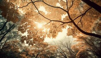 gouden bladeren vallen, herfst schoonheid verlichte door zonlicht gegenereerd door ai foto