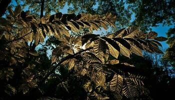 levendig herfst bladeren sieren rustig Woud landschap gegenereerd door ai foto