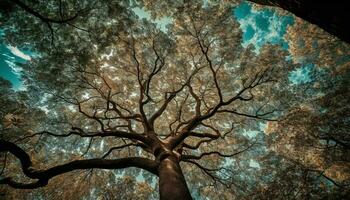 silhouet van boom Afdeling tegen melkachtig manier backdrop gegenereerd door ai foto